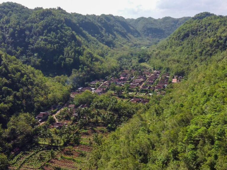 Wotawati: Pesona Alam dan Kehidupan Desa di Gunungkidul