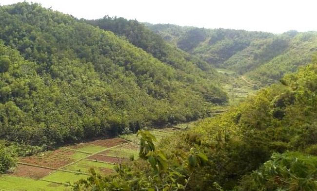 Lembah Sungai Purba